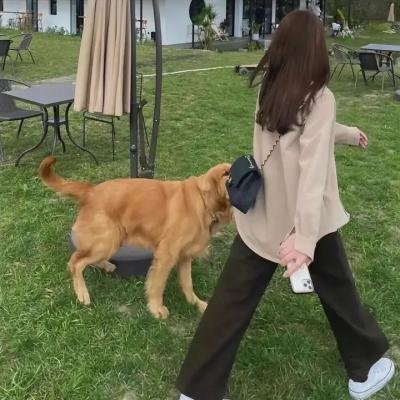 女足小将